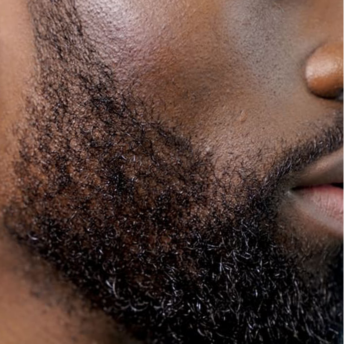 BEARD OIL